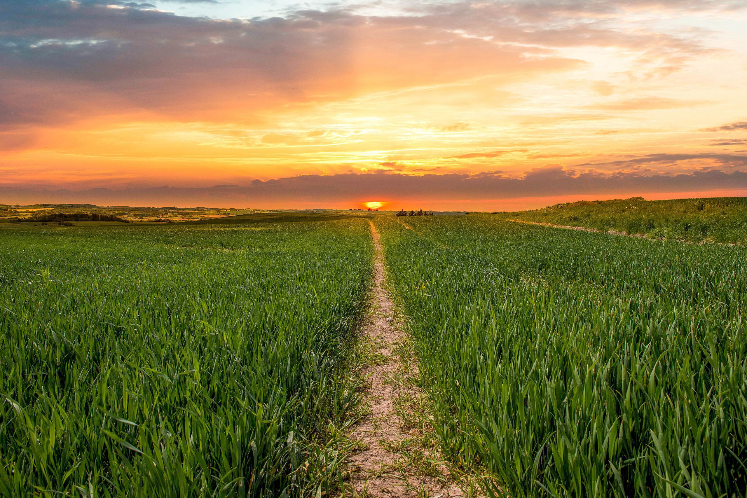 Farmland