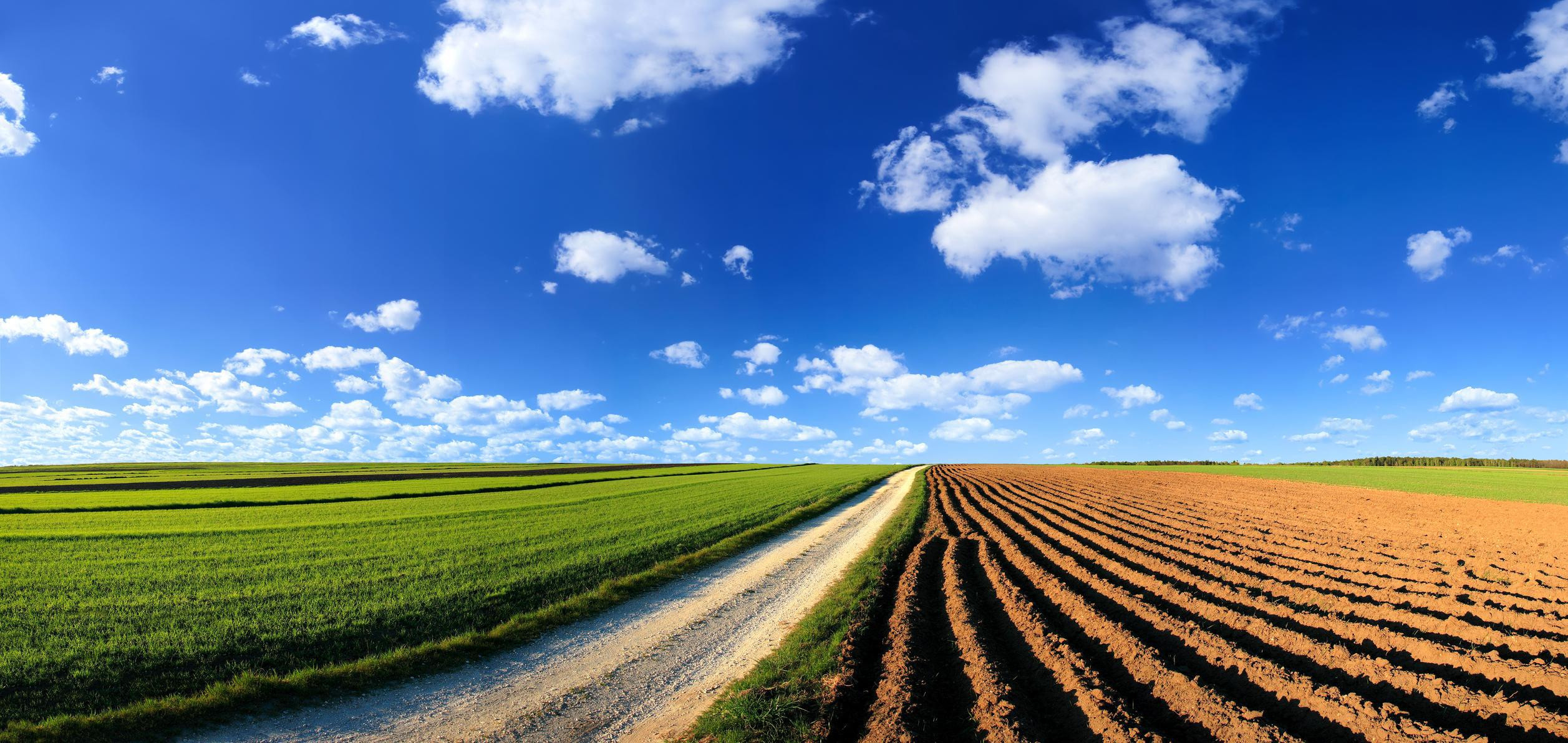 Image of blue sky and green field
