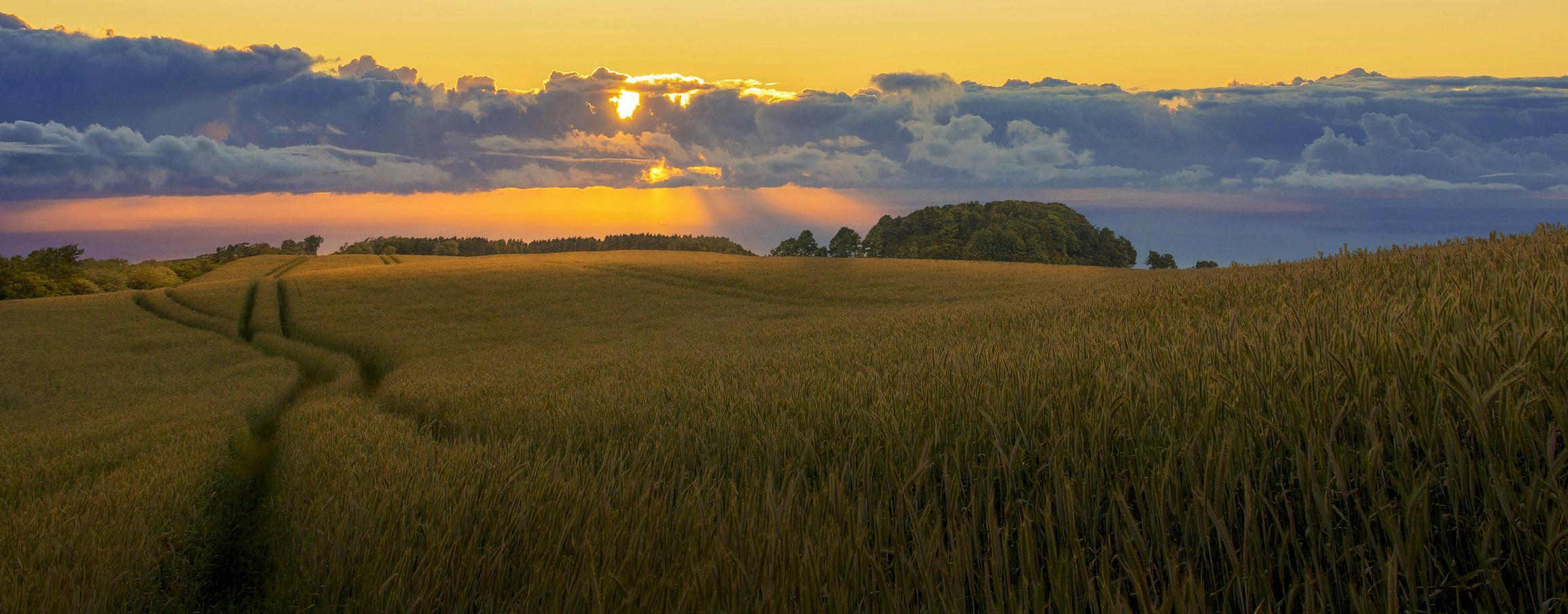 Farmland